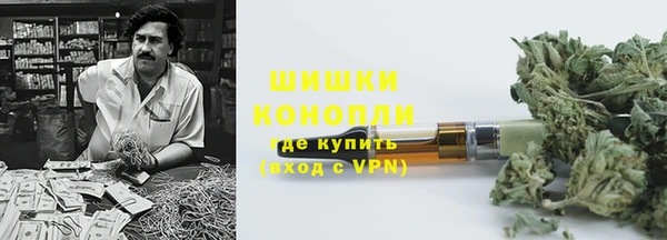 молекула духа Богородицк