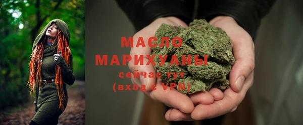 молекула духа Богородицк