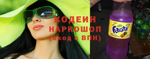 молекула духа Богородицк