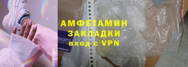молекула духа Богородицк