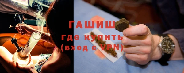 молекула духа Богородицк