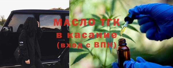 молекула духа Богородицк