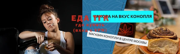 молекула духа Богородицк