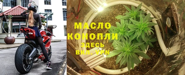 молекула духа Богородск