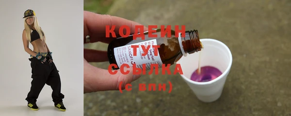 молекула духа Богородск