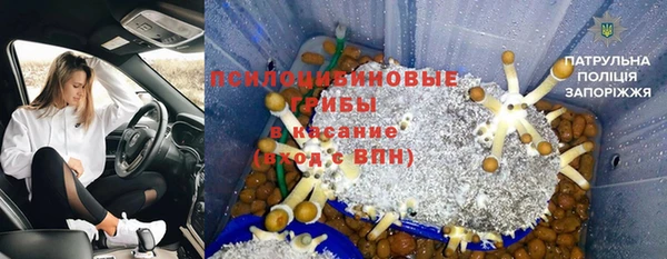 молекула духа Богородск