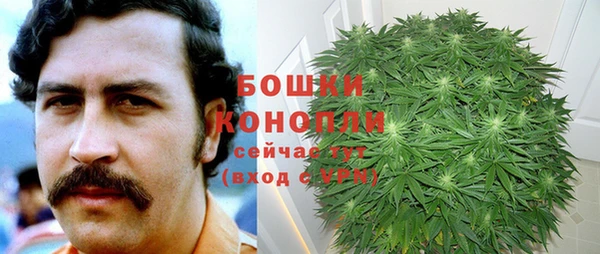 молекула духа Богородицк