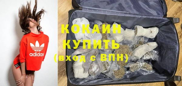 молекула духа Богородицк