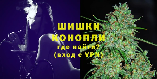 молекула духа Богородск