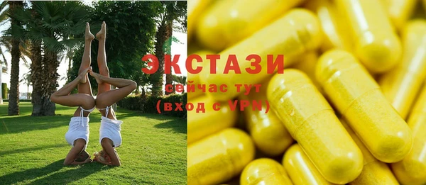 молекула духа Богородицк