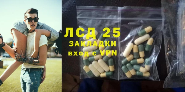 молекула духа Богородицк