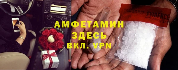 молекула духа Богородицк