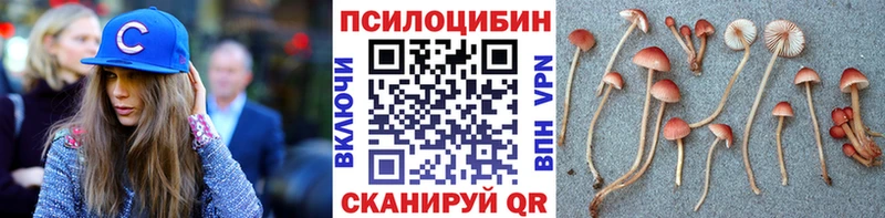 купить наркоту  Курильск  Псилоцибиновые грибы прущие грибы 